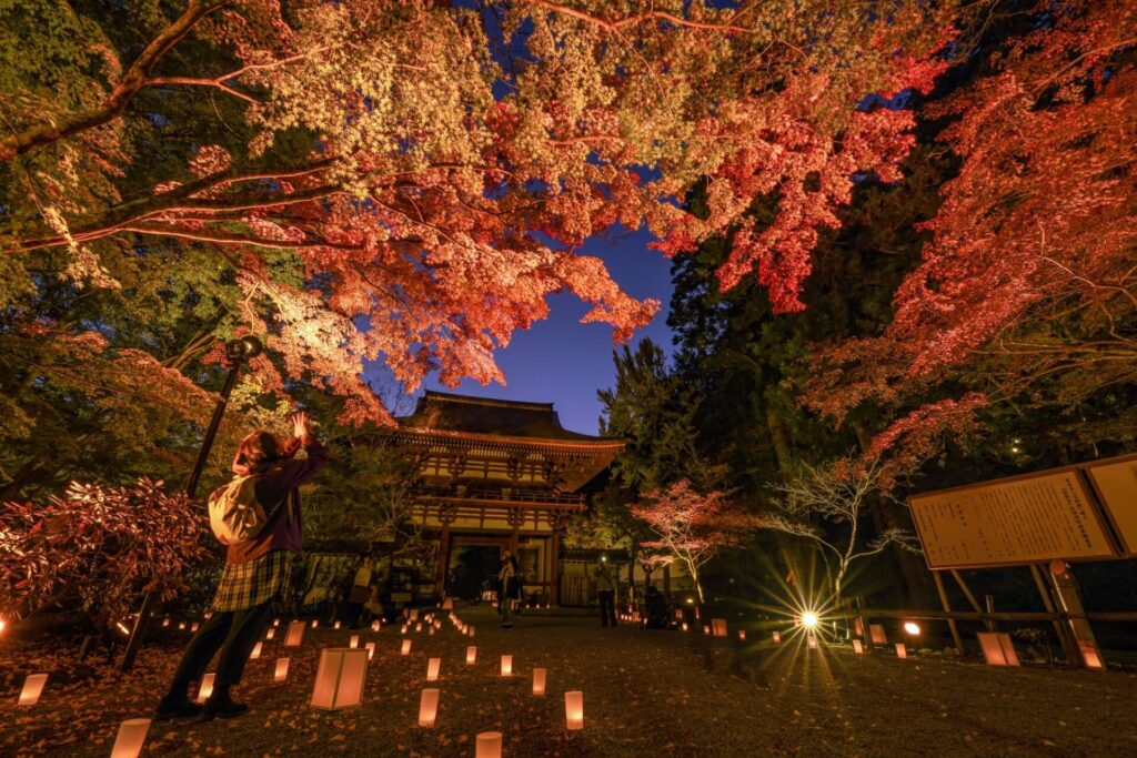 奈良観光で訪れたい室生寺の紅葉