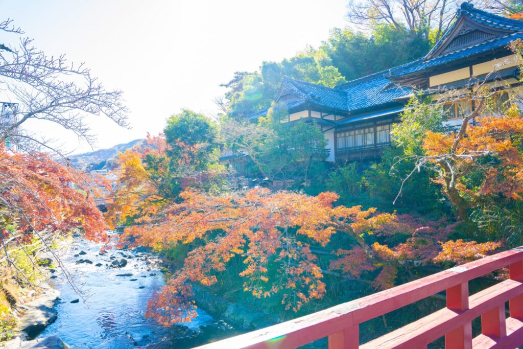 湯河原温泉の紅葉