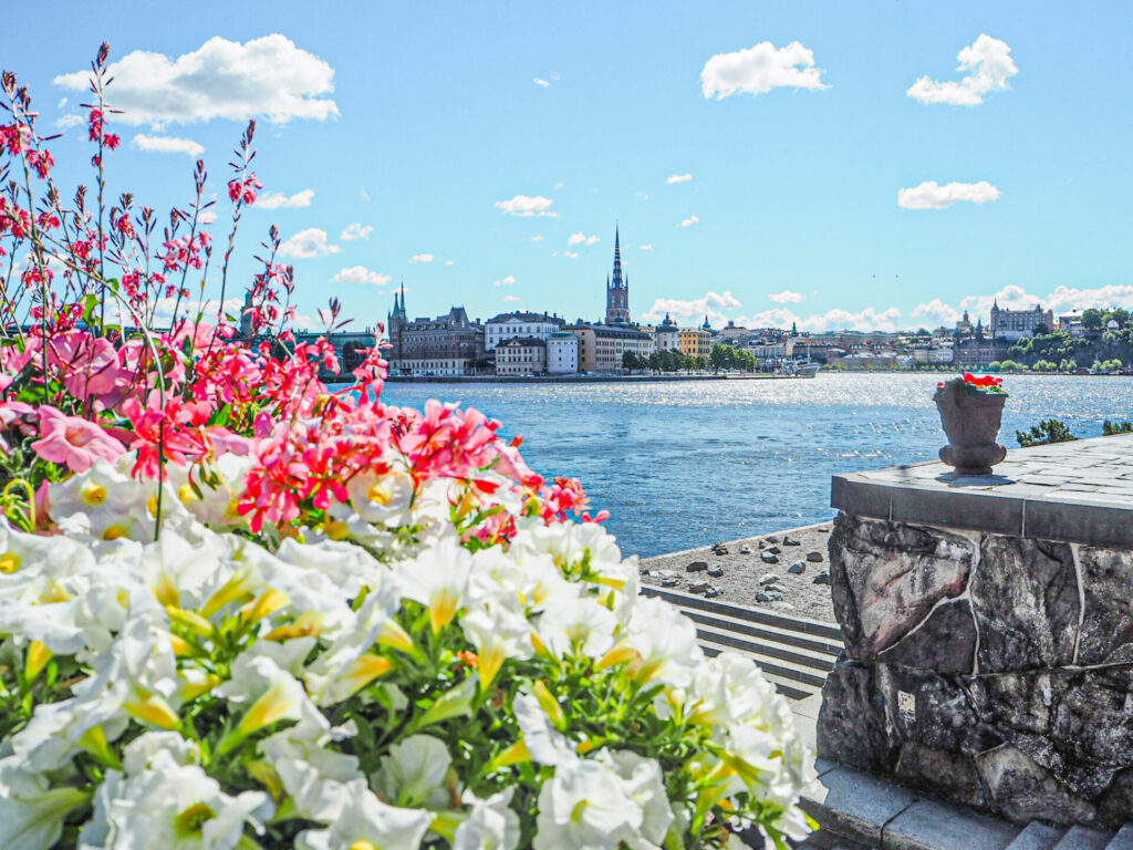 スウェーデン　お花とストックホルムの街並み