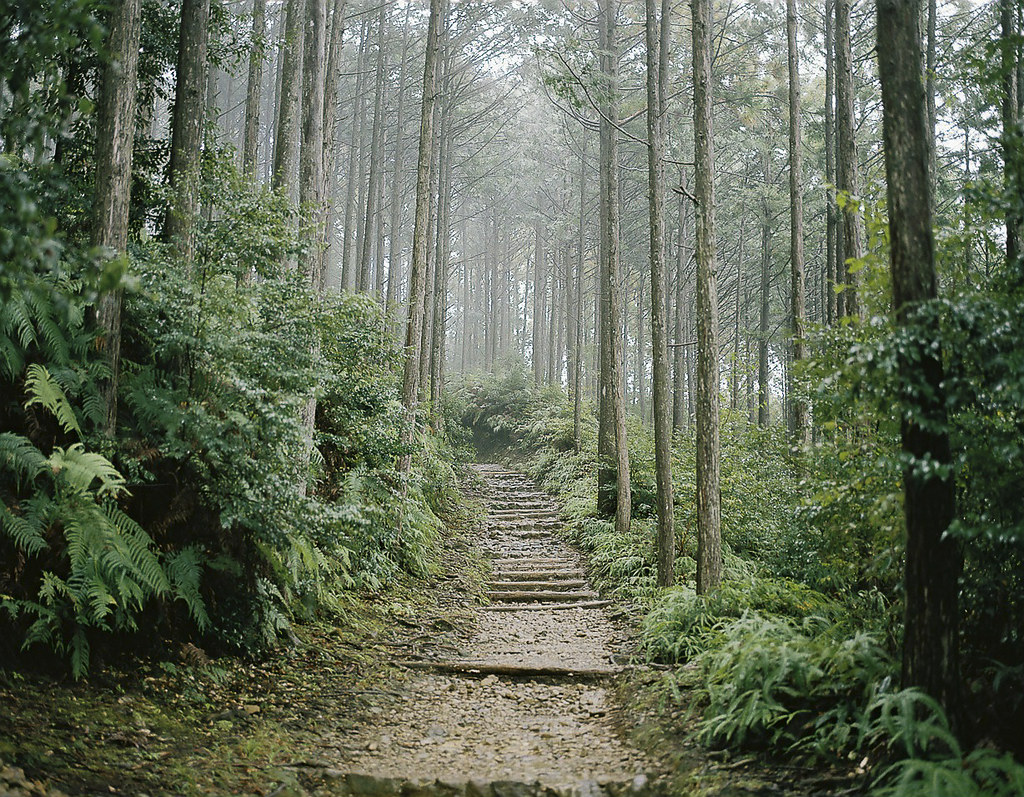 自然の中に続く熊野古道