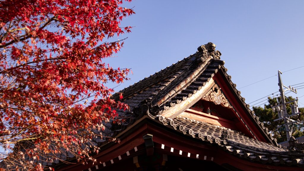 静岡観光は紅葉の名所がたくさん
