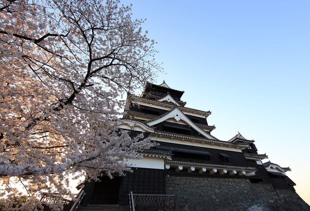 熊本市の中心部に位置する歴史的な熊本城