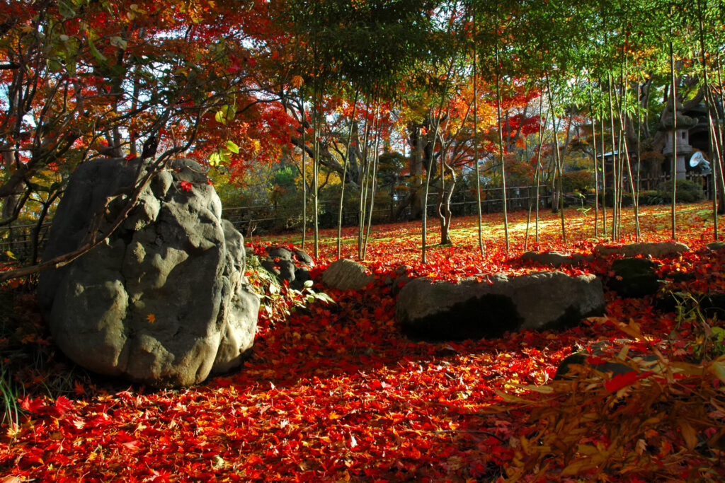 秋の訪れとともに美しい紅葉が楽しめる名所