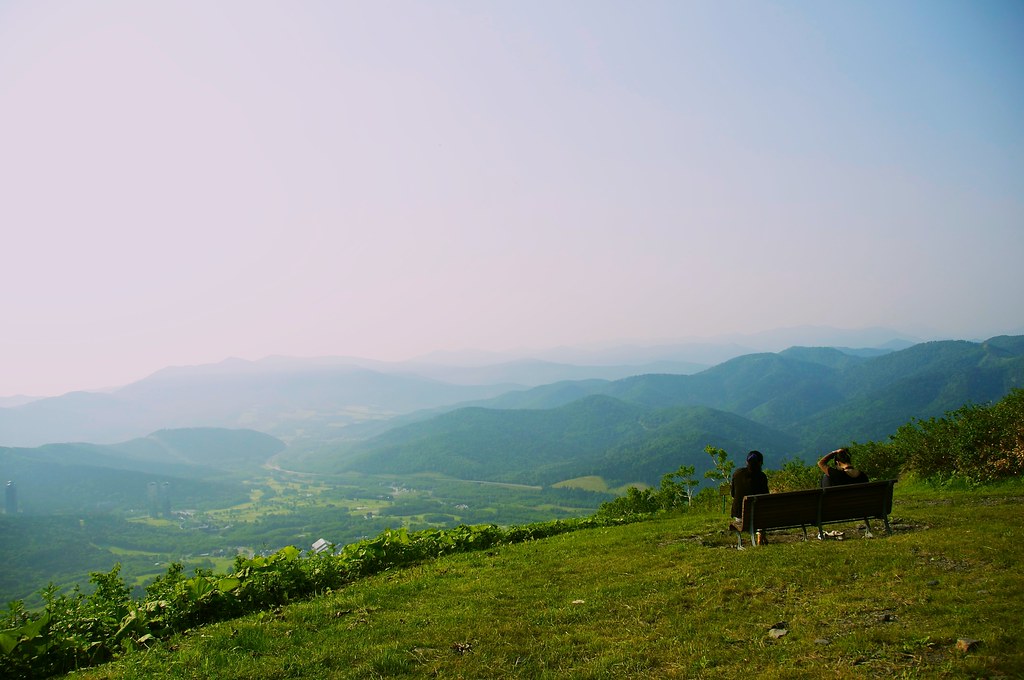 夏の北海道を観光するイメージ