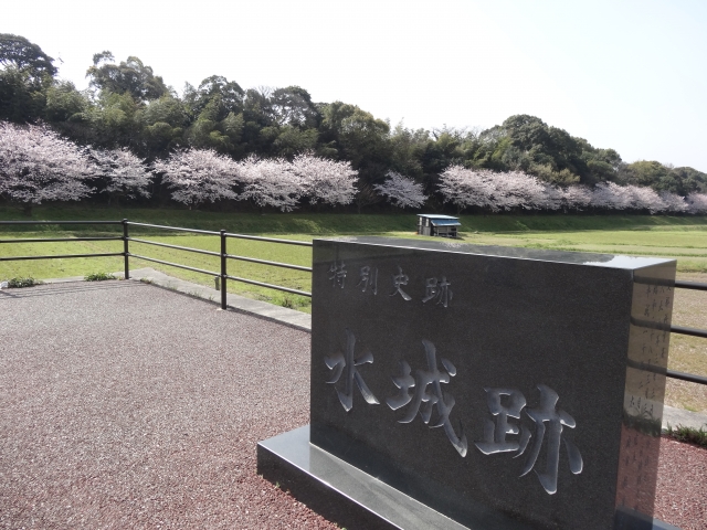 水城跡と桜