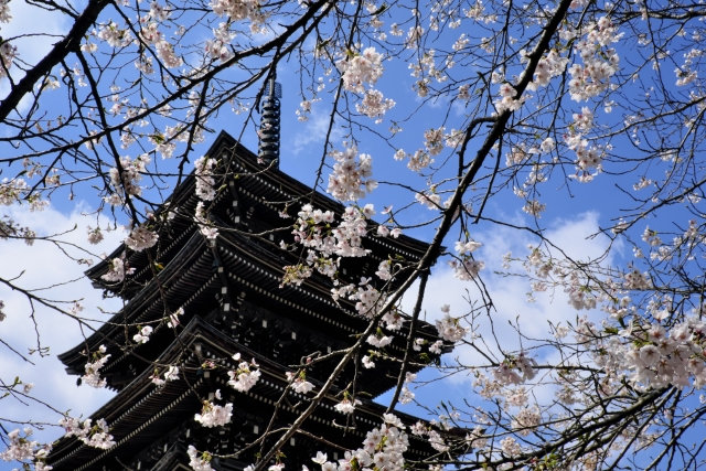 仙台観光のモデルコース3日目は車で定義如来西方寺を参拝