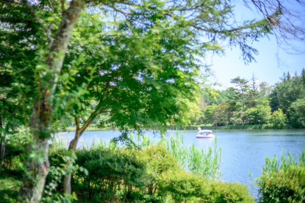 自然を感じながらスワンボートを楽しめる蓼科湖