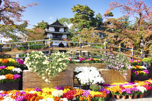 弘前城の菊と紅葉まつり
