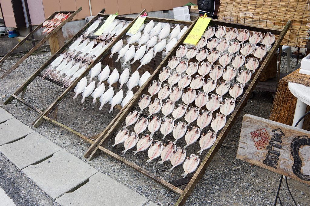 勝浦朝市で売られている魚