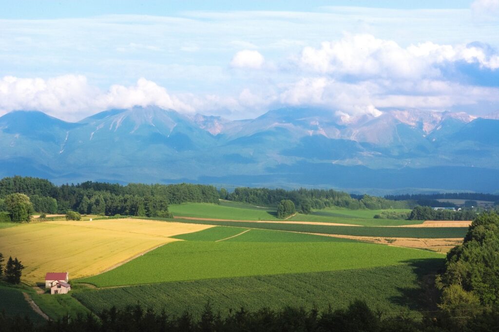 8月下旬に北海道に観光に行くイメージ