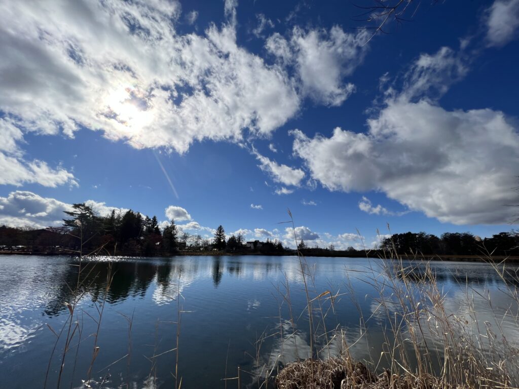 長野観光でおすすめの蓼科湖