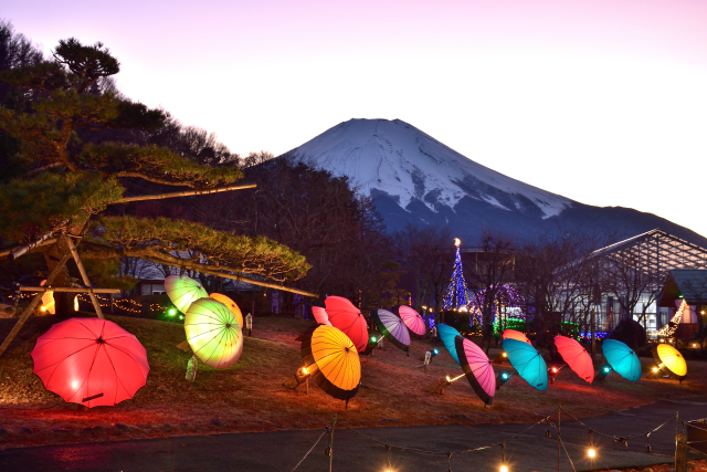 富士と花の都公園