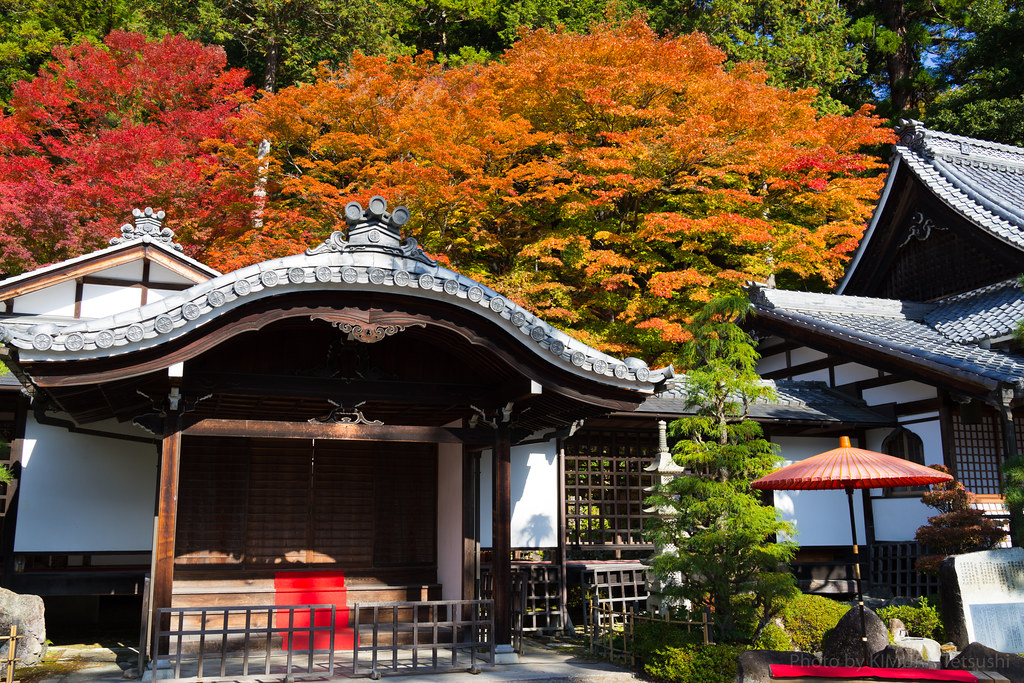 境内の紅葉が美しい下呂温泉の温泉寺
