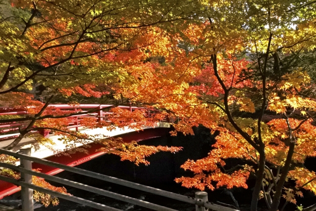 弘前観光で９月に行きたい中野もみじ山紅葉