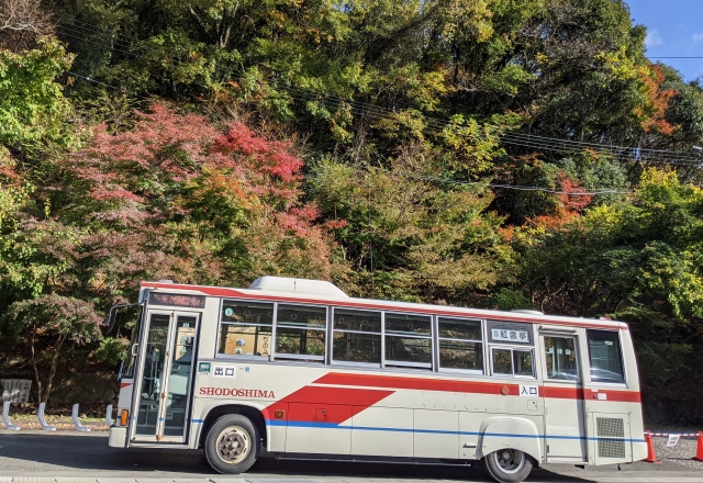 小豆島を走るバス