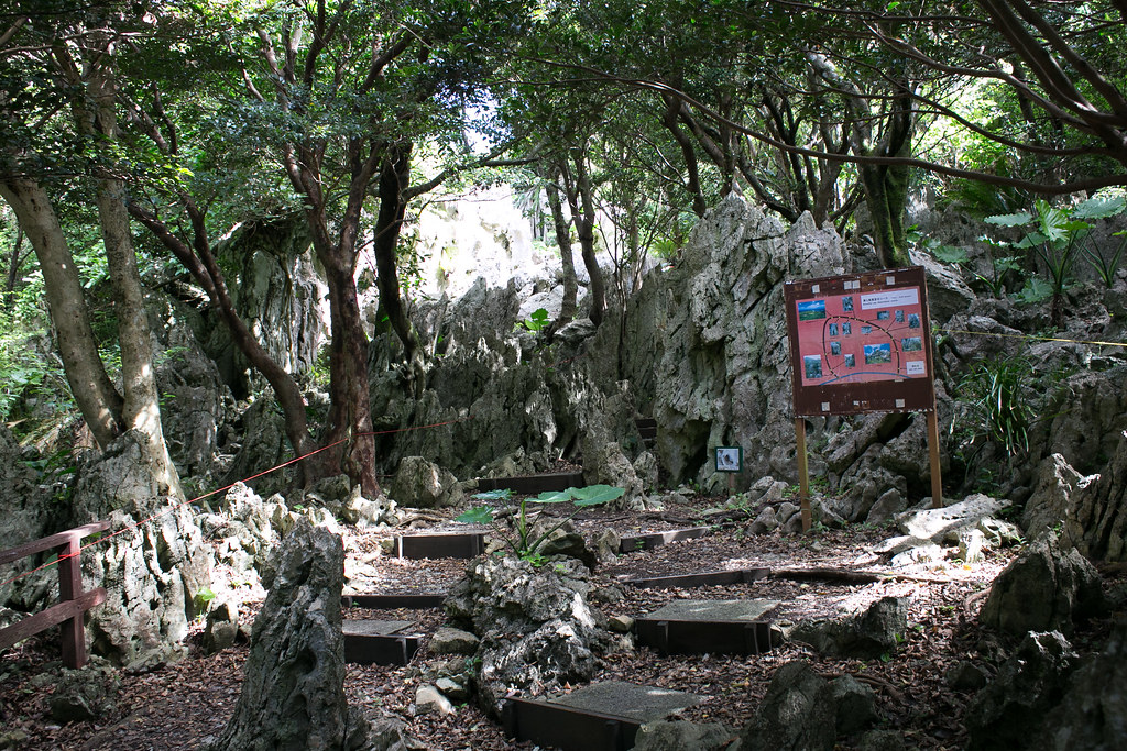 大石林山　沖縄