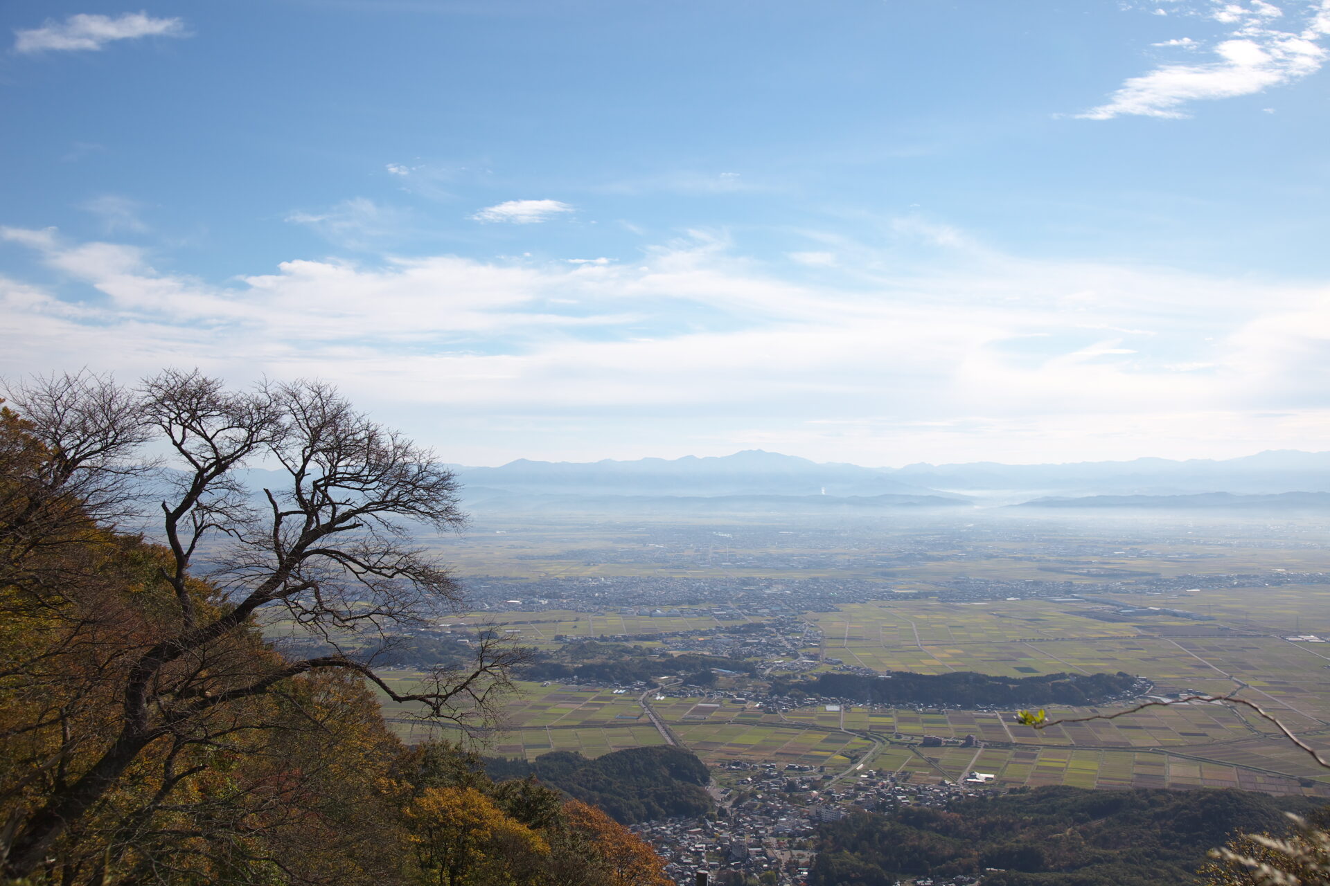 弥彦山から見える風景