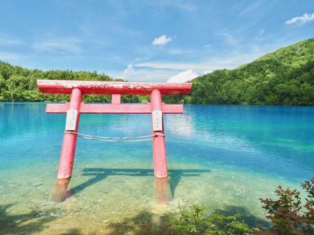 志賀高原の観光で行きたい大沼池