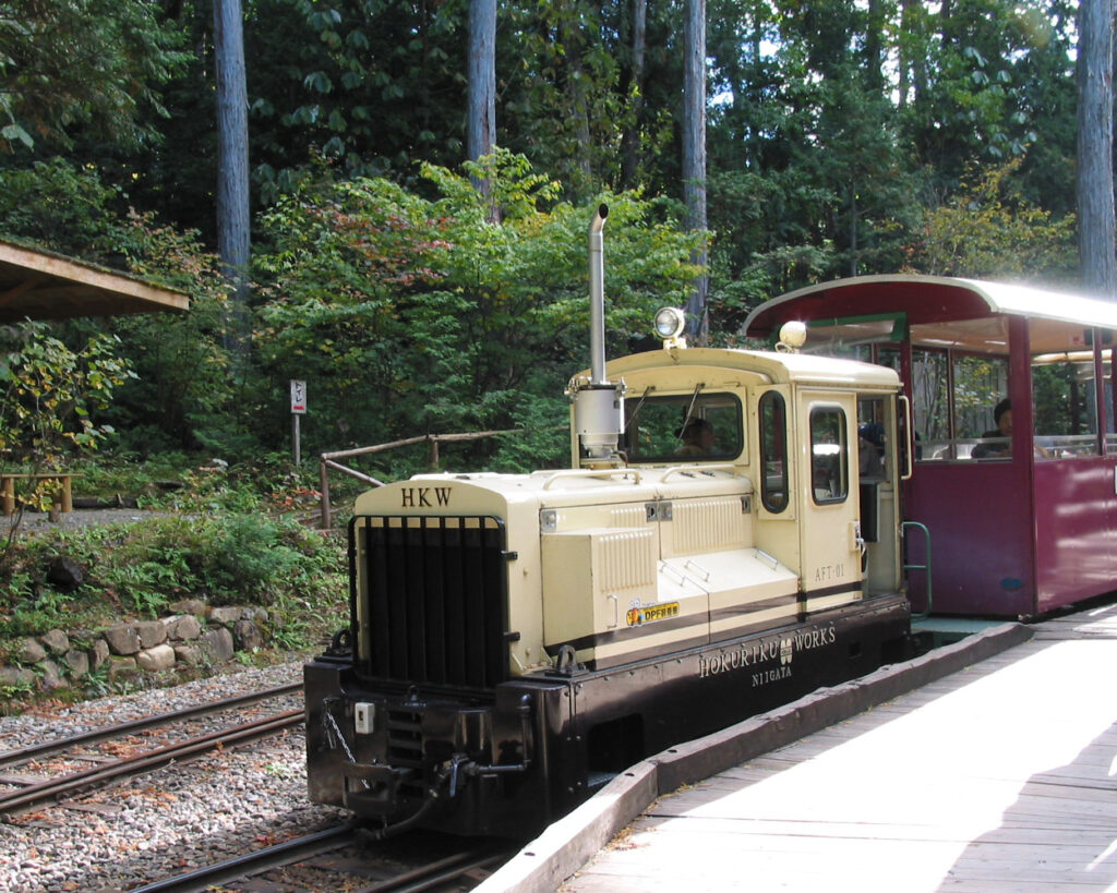 赤沢森林鉄道を走る電車