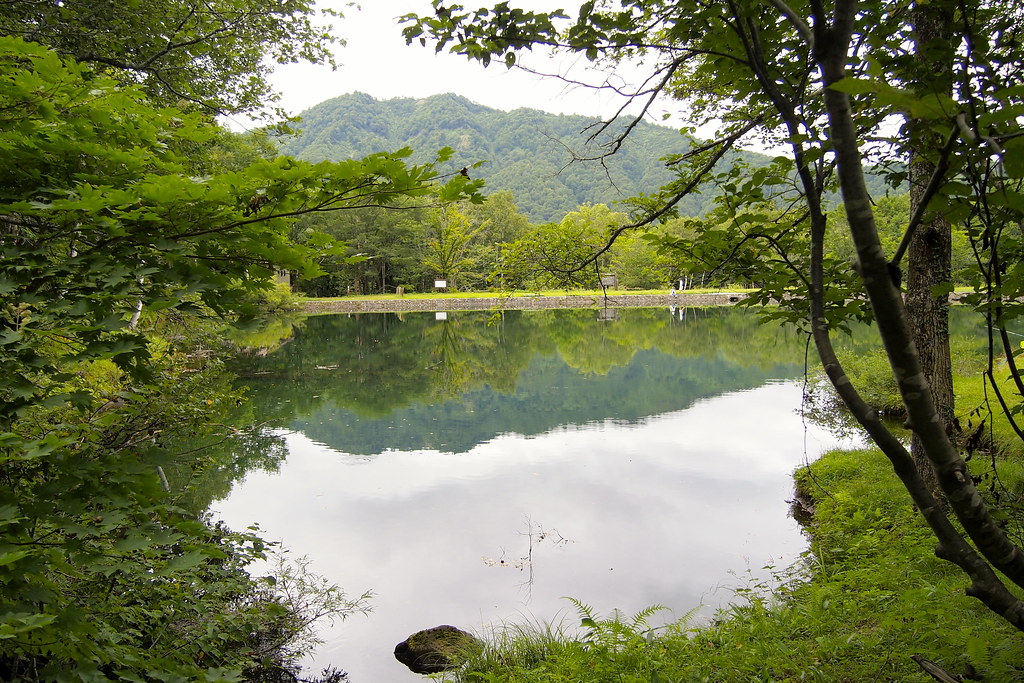 夏に新潟を家族で観光するなら妙高高原
