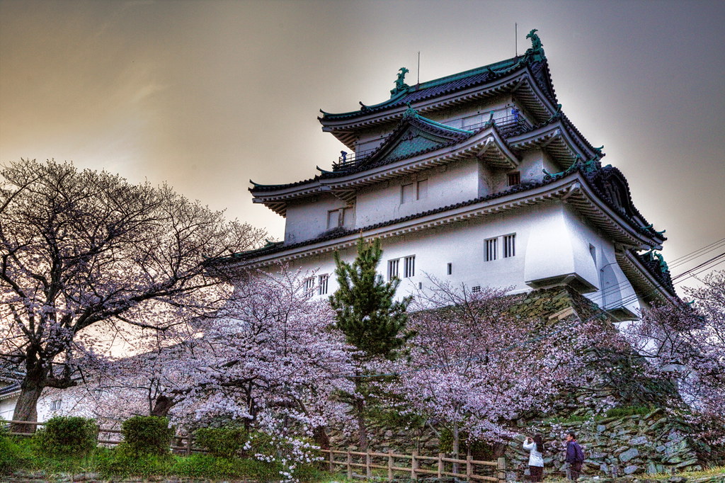 和歌山の定番観光地「和歌山城」と桜