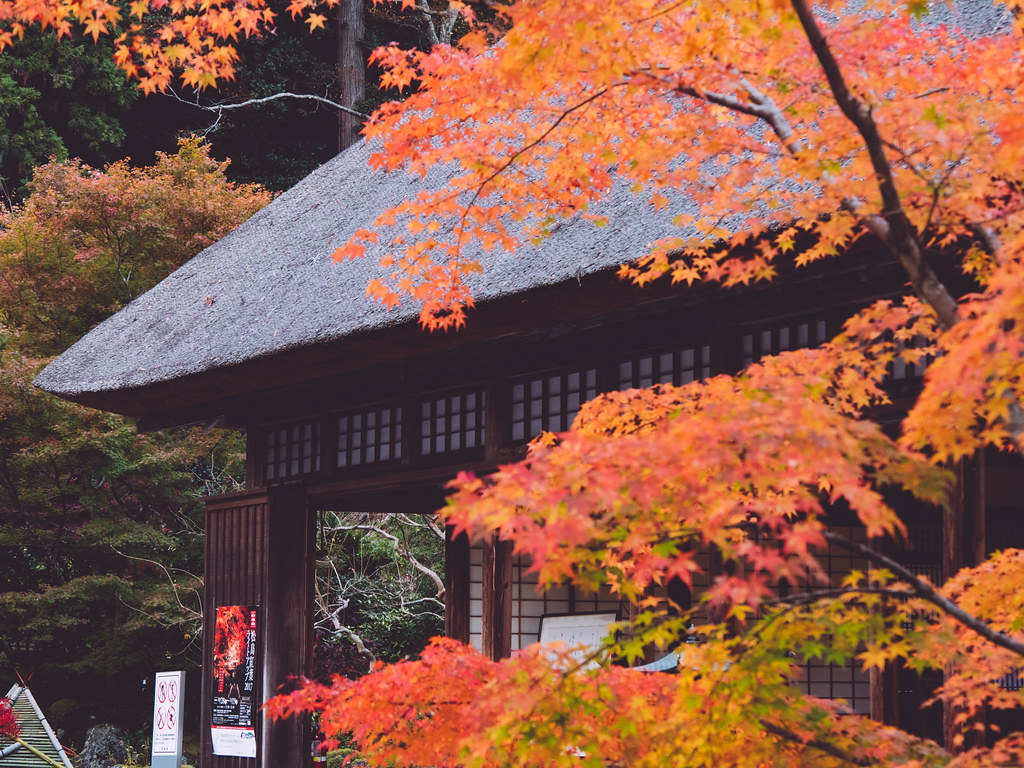縁結びの寺として有名な松島の円通院