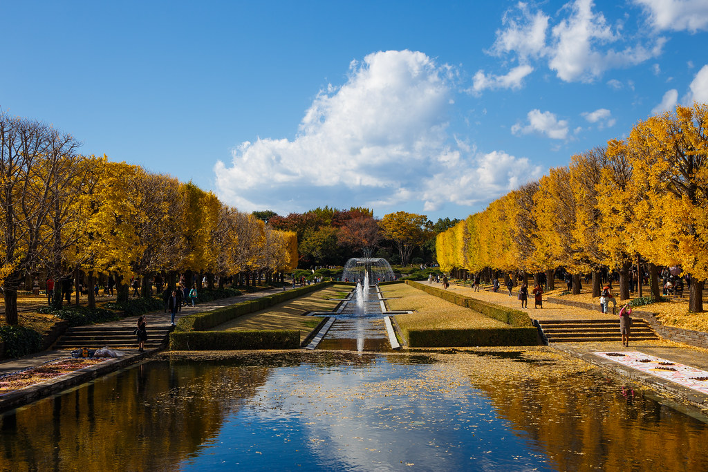 四季折々の自然を楽しむことができる国営昭和記念公園