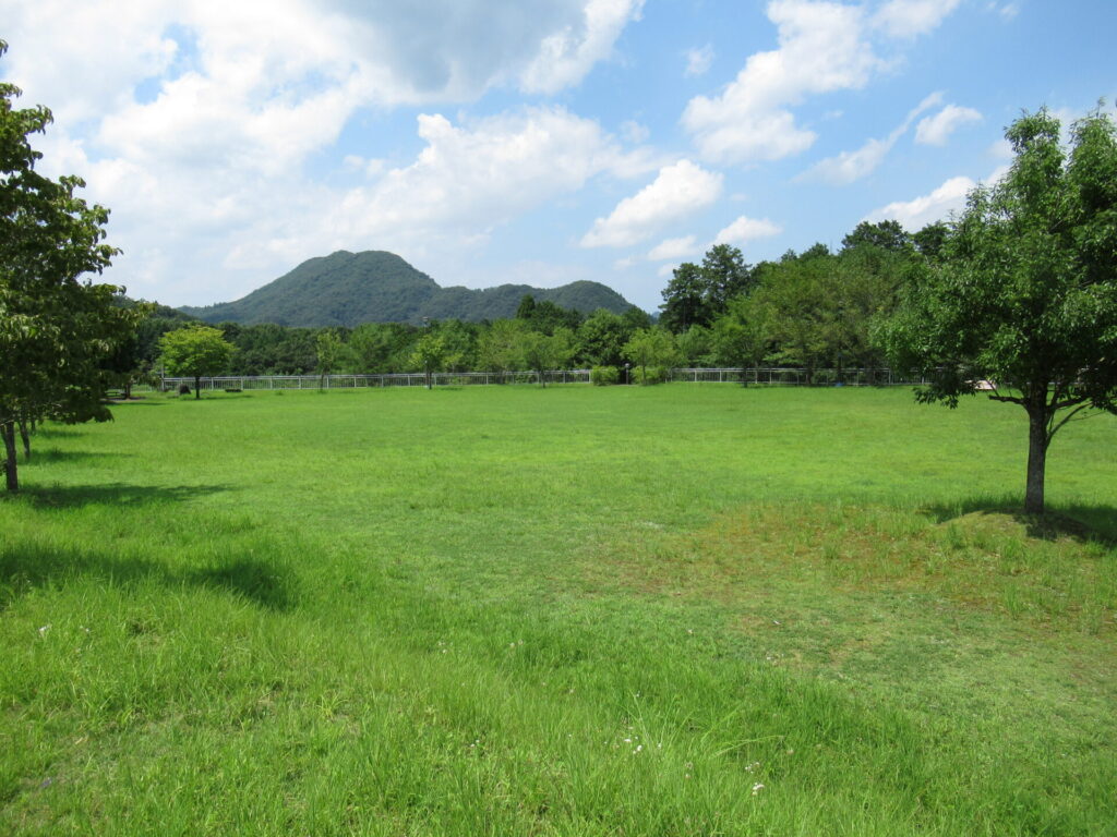 芝生広場で愛犬と楽しむ