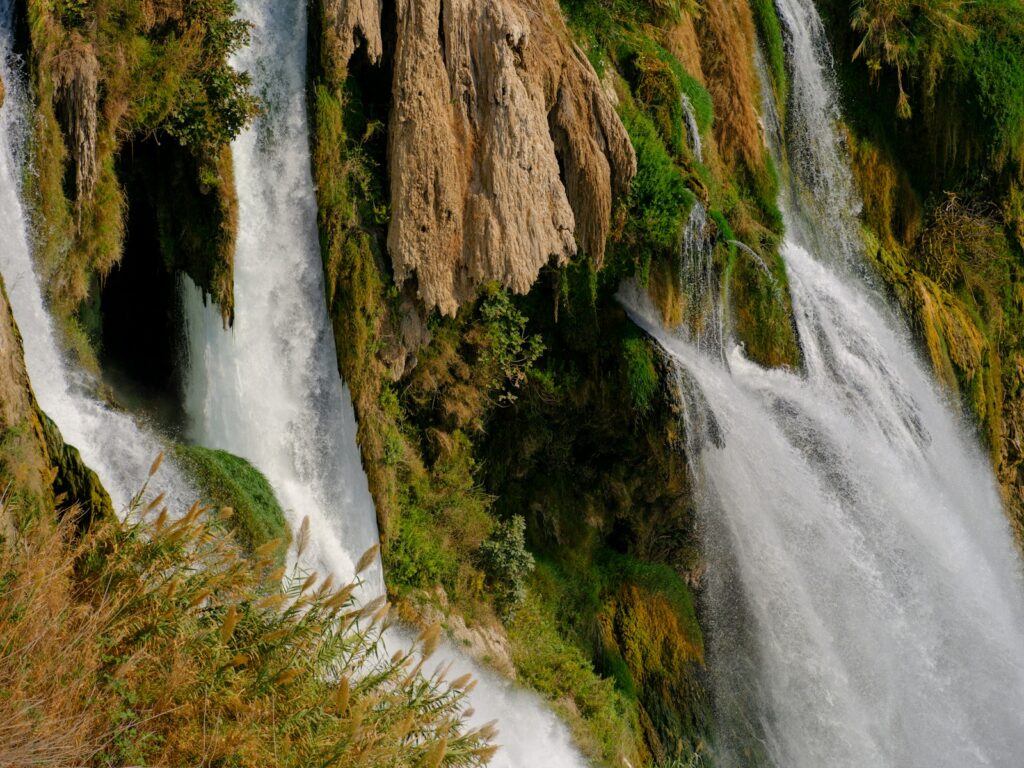 勢いよく流れる滝