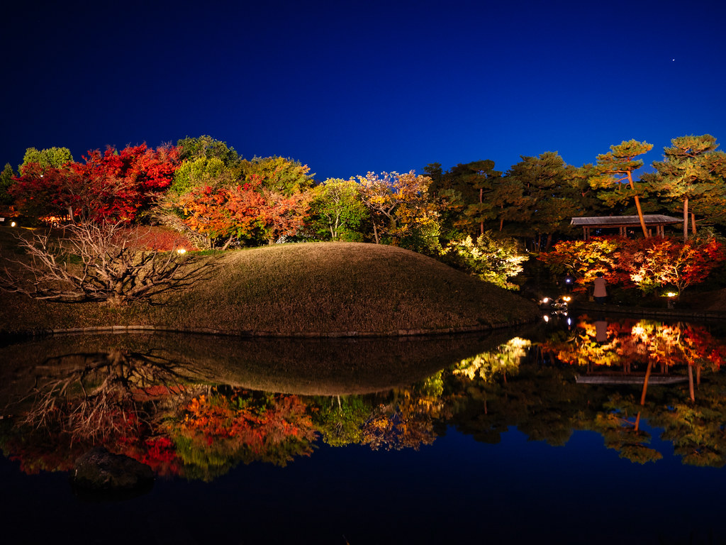 紅葉が美しくライトアップ梅小路公園