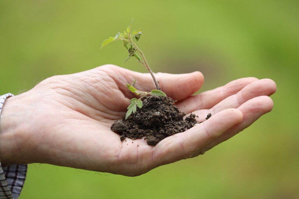 南方熊楠記念館は収集した植物標本などを見ることができる