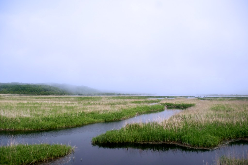 北海道に8月下旬に観光に行くなら釧路湿原