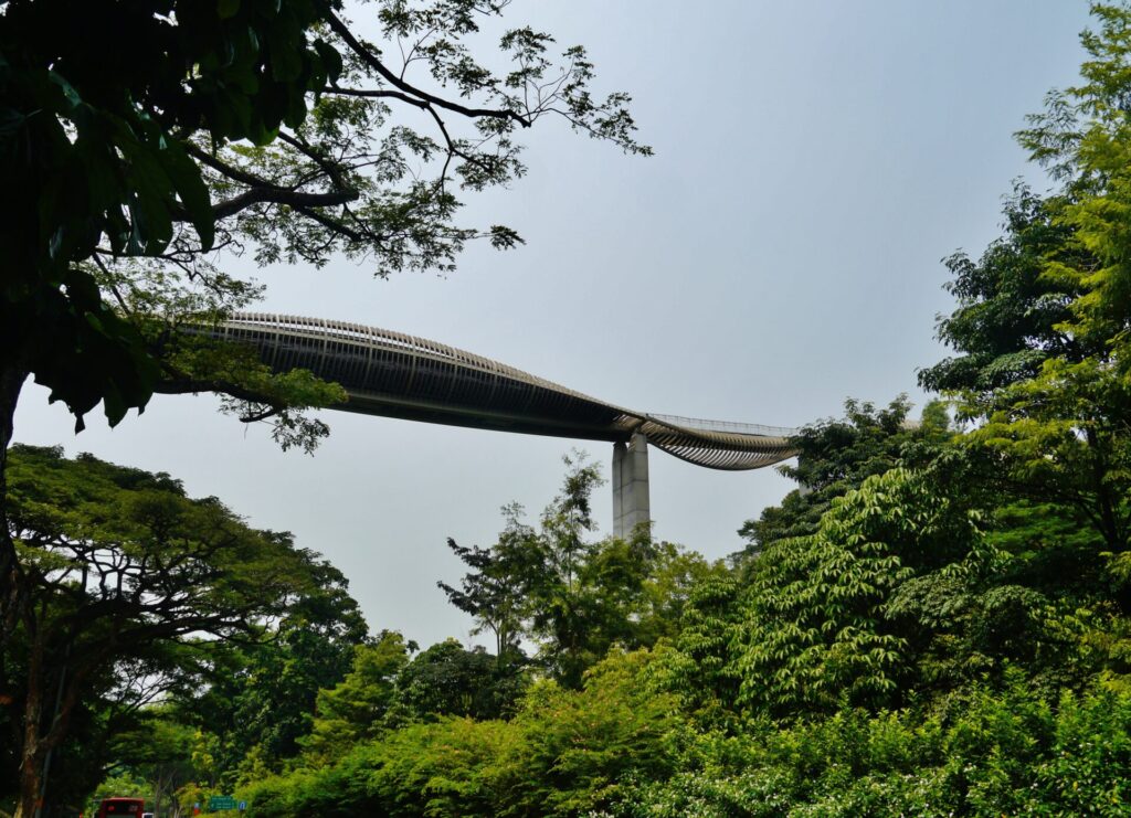 シンガポールの自然を満喫できる遊歩道「サザンリッジズ」