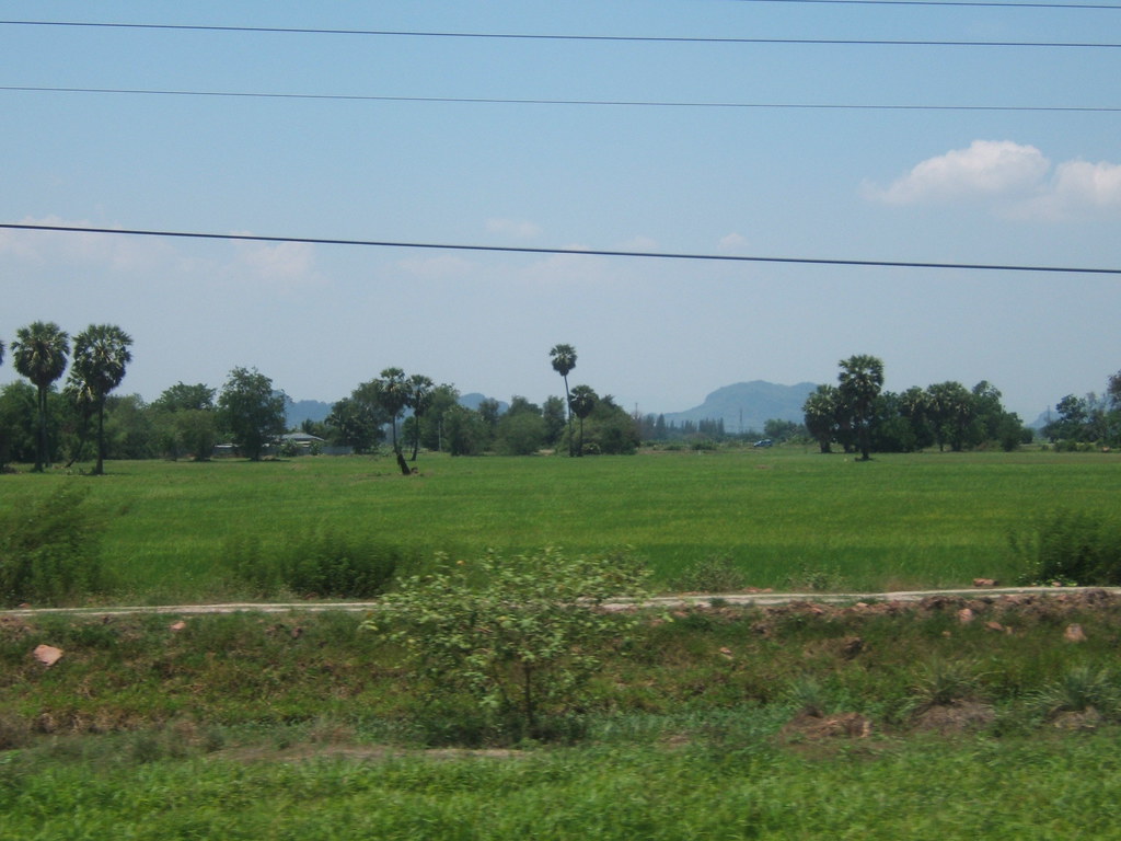 バンコクの車内から見たい田舎風景