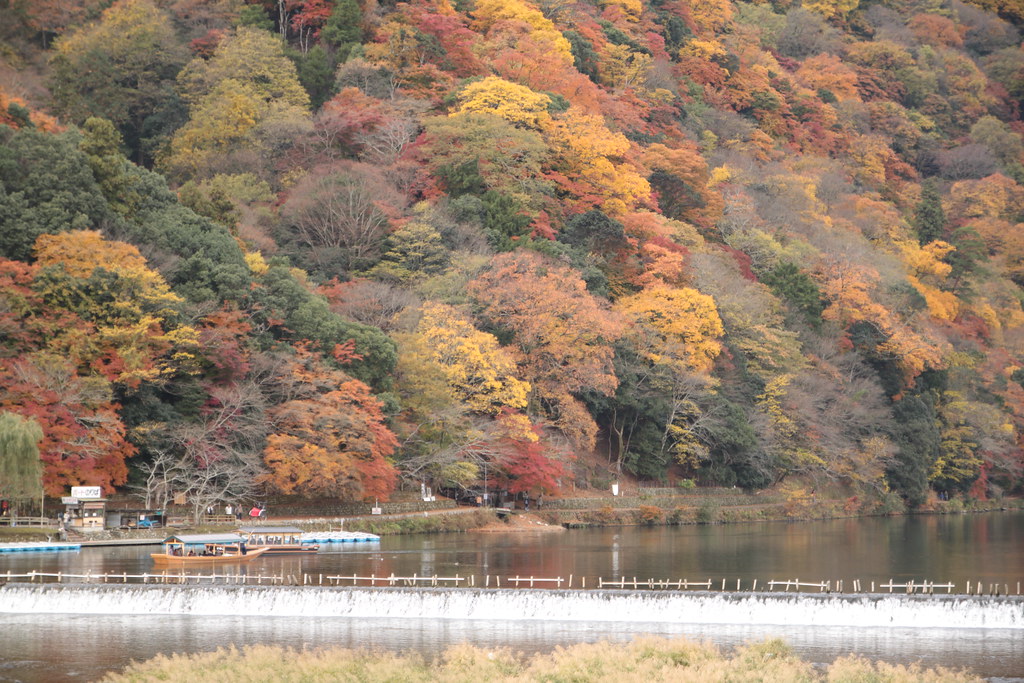 嵐山の紅葉