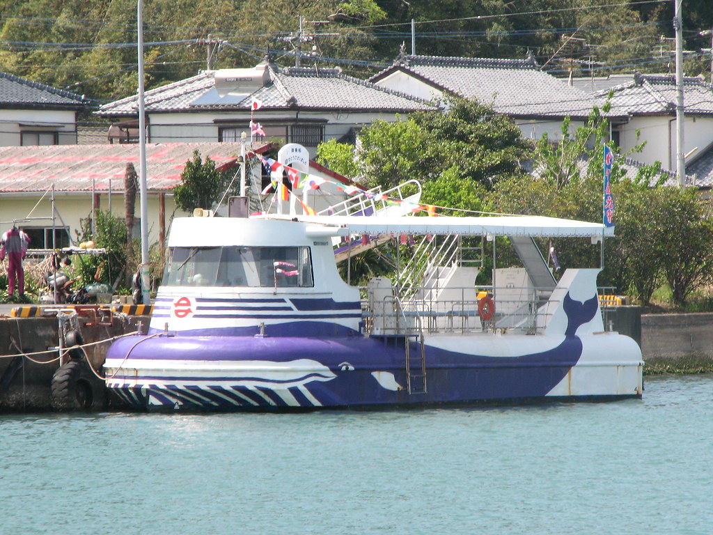 宮崎県日南市で楽しめる水中観光船「マリンビューワーなんごう」