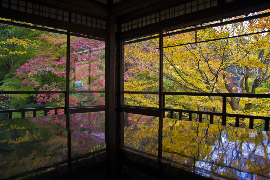 瑠璃光院の2階書院の紅葉