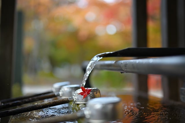 対策KW「神社の手水鉢」