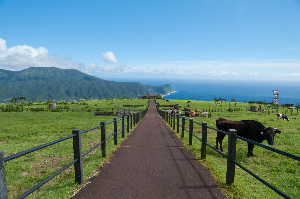 八丈島の観光に八丈富士展望台