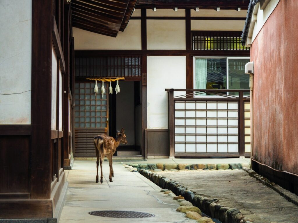 奈良の観光で泊まりたい宿泊施設