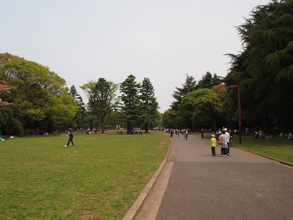 東京の中心に位置する広大な公園の代々木公園