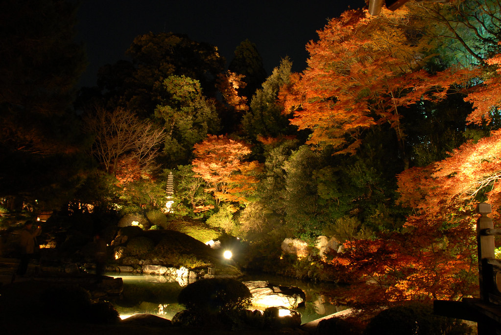特別な夏の夜を、醍醐寺で過ごしてみませんか