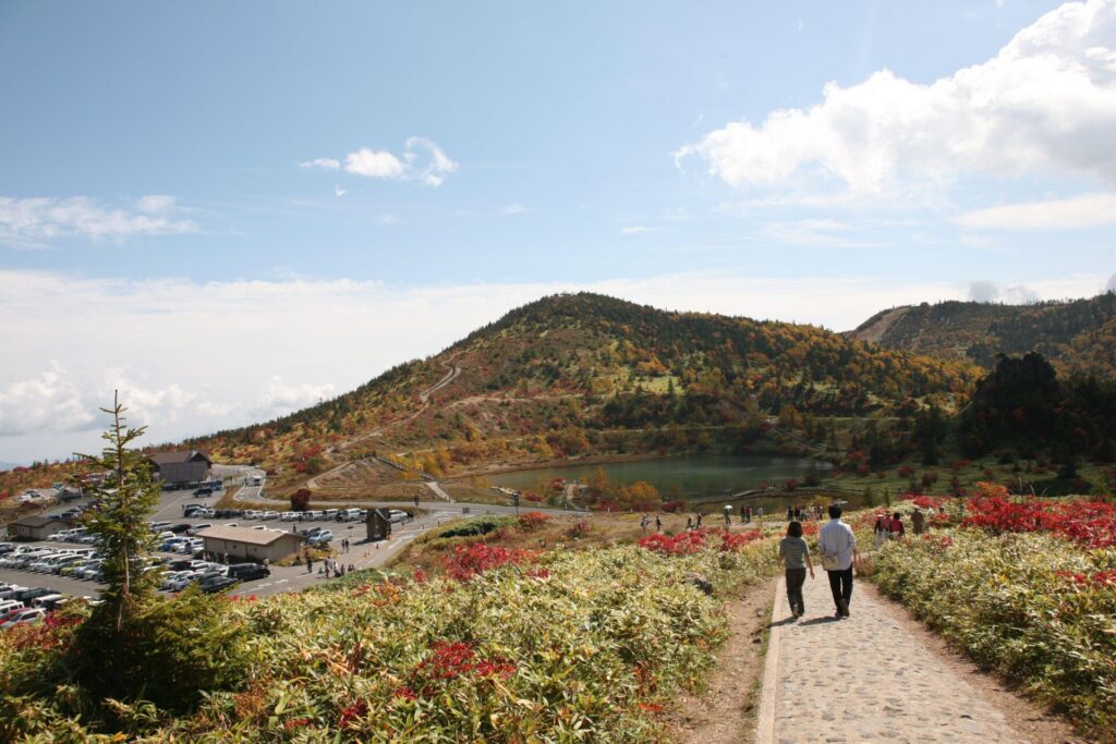 弓池は草津の自然にひっそりとたたずんでいます