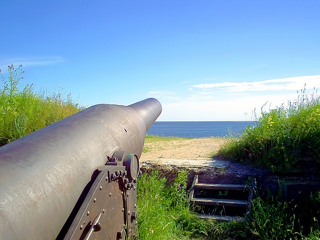 要塞の大砲