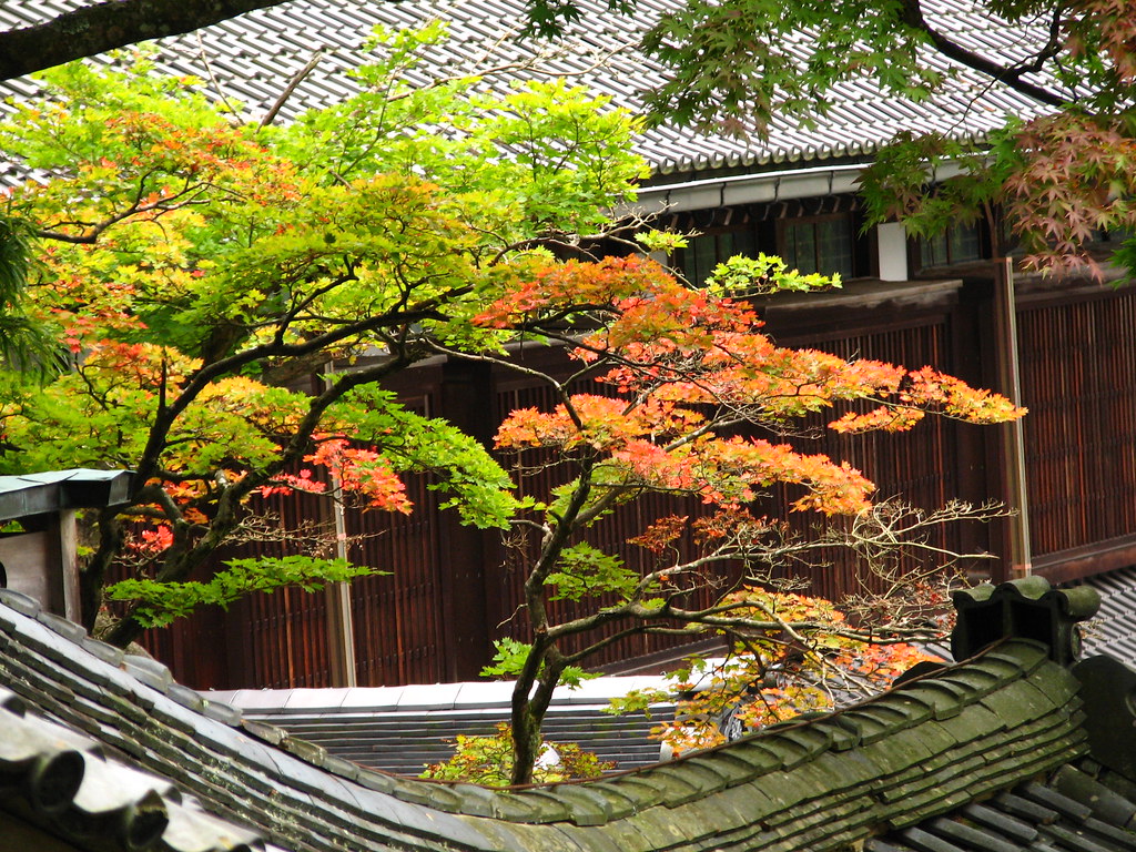 永平寺と紅葉