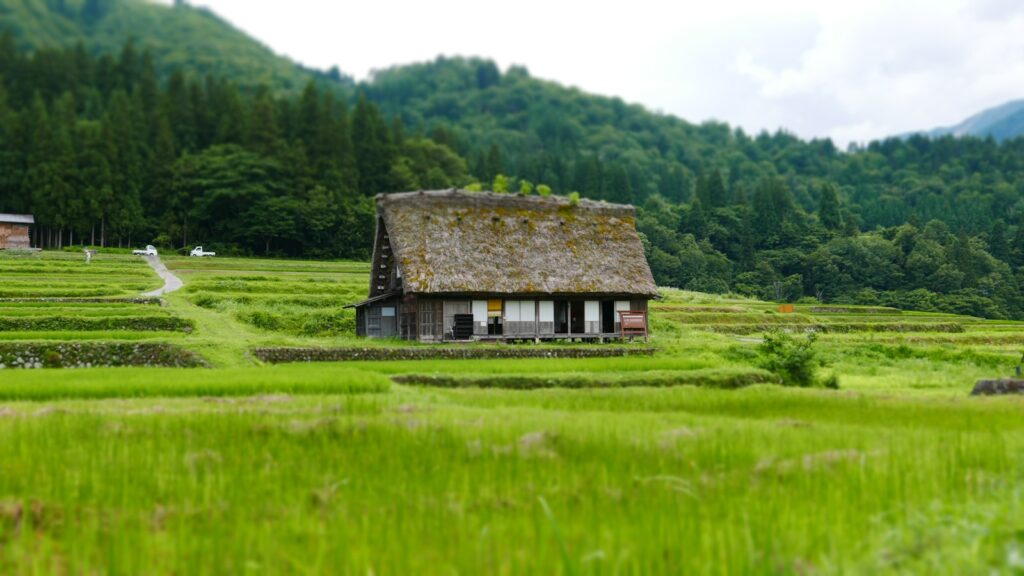 福島で茅葺屋根のお家を観光