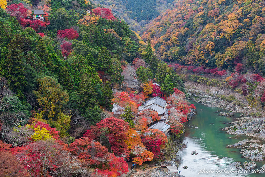 紅葉に彩られた京都嵐山の風景