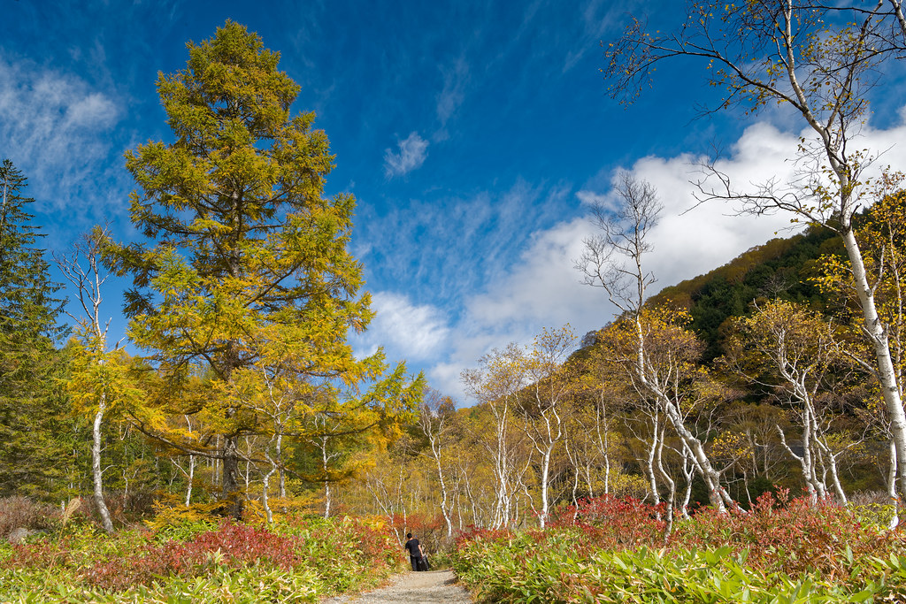 志賀高原の観光イメージ