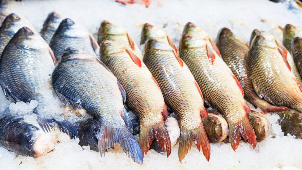 長崎佐世保の新鮮な海産物が並ぶ市場のイメージ