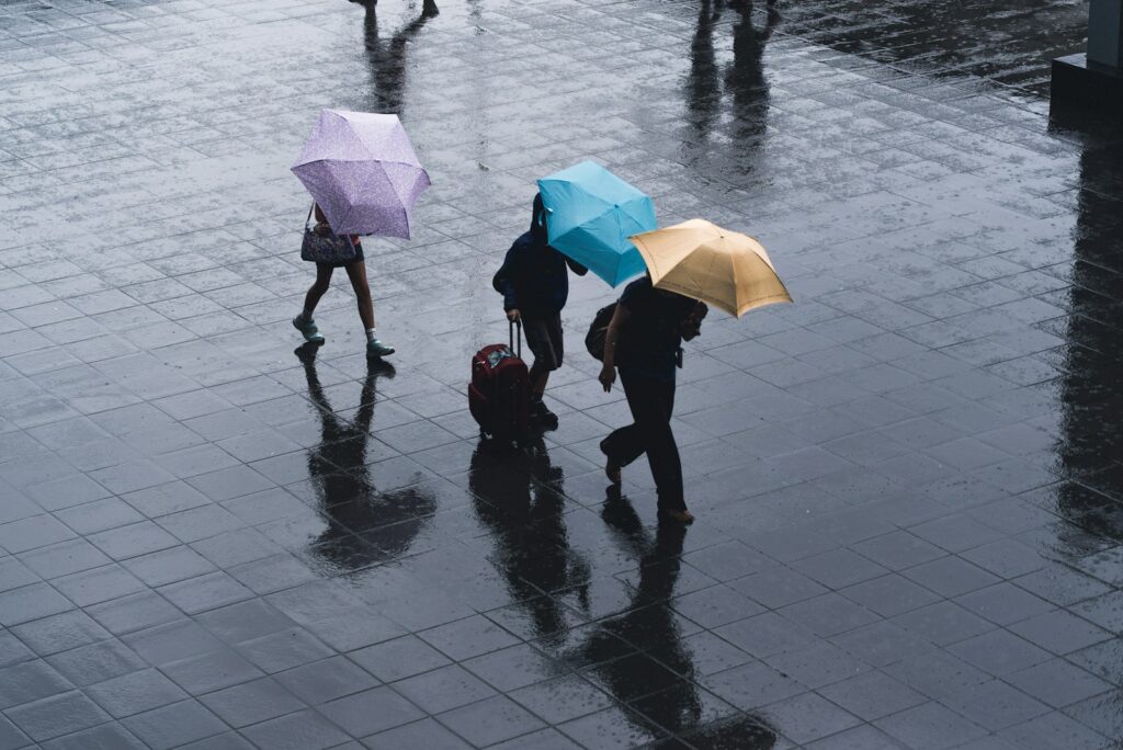 雨の日